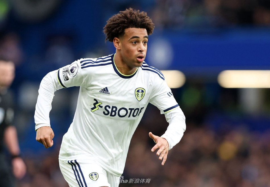 极统治变成 极统治变成